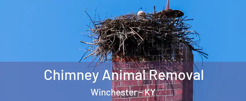  Chimney Animal Removal Winchester - KY