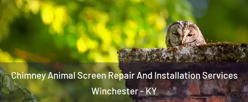 Chimney Animal Screen Repair And Installation Services Winchester - KY