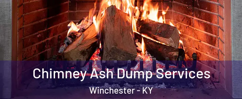 Chimney Ash Dump Services Winchester - KY