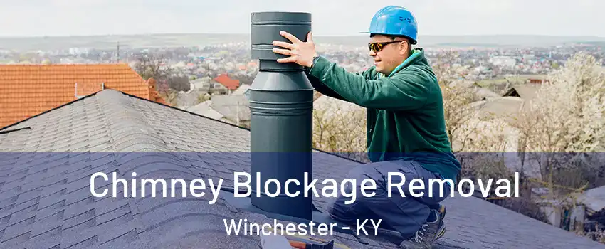  Chimney Blockage Removal Winchester - KY