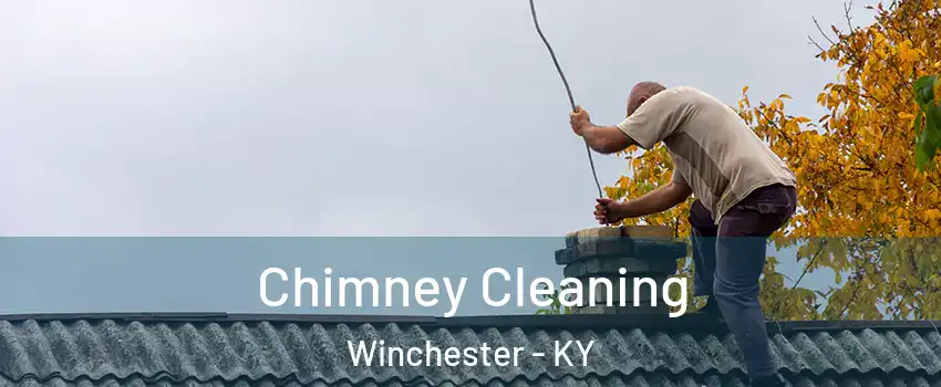  Chimney Cleaning Winchester - KY