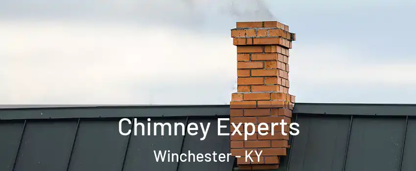  Chimney Experts Winchester - KY