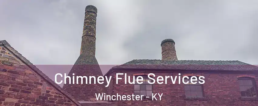  Chimney Flue Services Winchester - KY