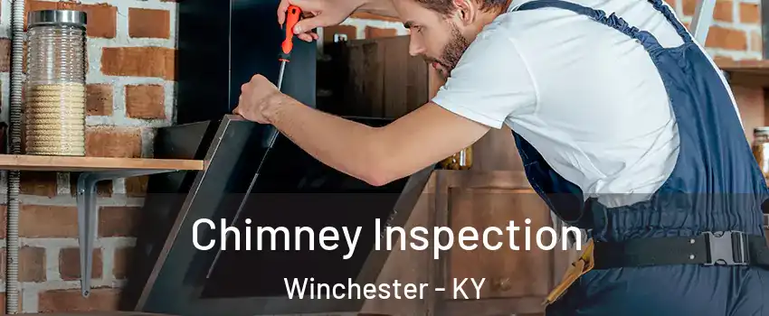  Chimney Inspection Winchester - KY