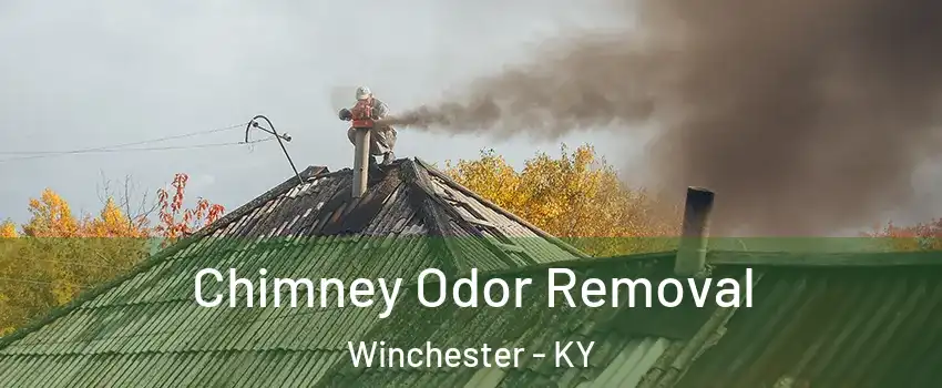  Chimney Odor Removal Winchester - KY