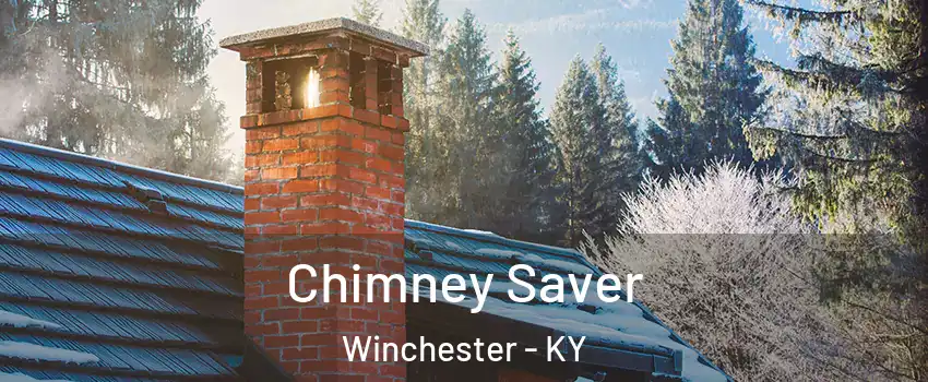  Chimney Saver Winchester - KY