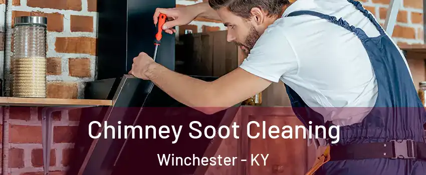  Chimney Soot Cleaning Winchester - KY