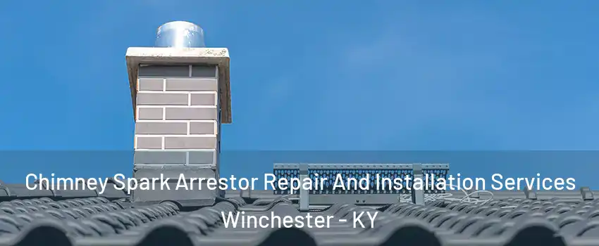  Chimney Spark Arrestor Repair And Installation Services Winchester - KY