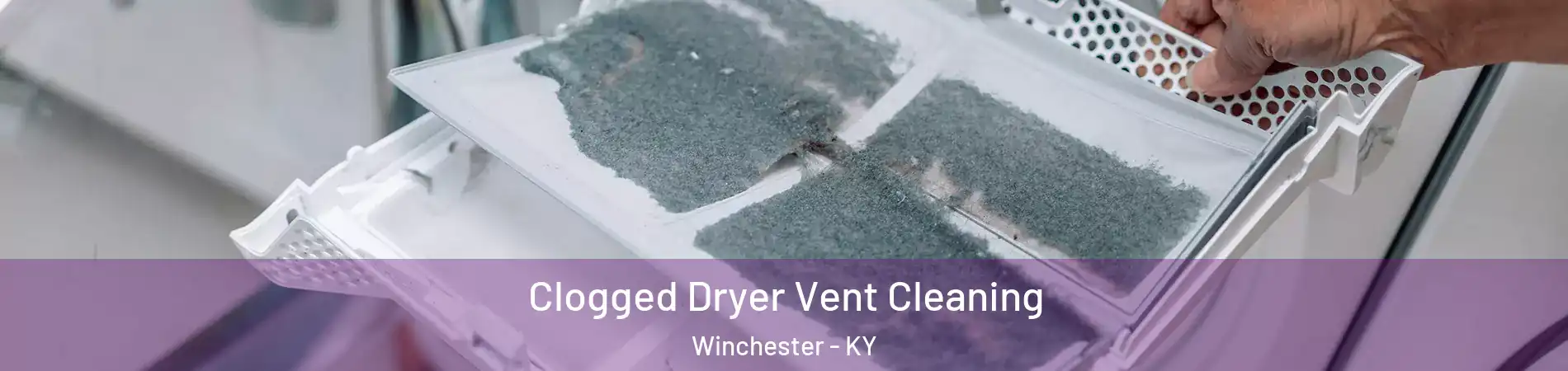  Clogged Dryer Vent Cleaning Winchester - KY