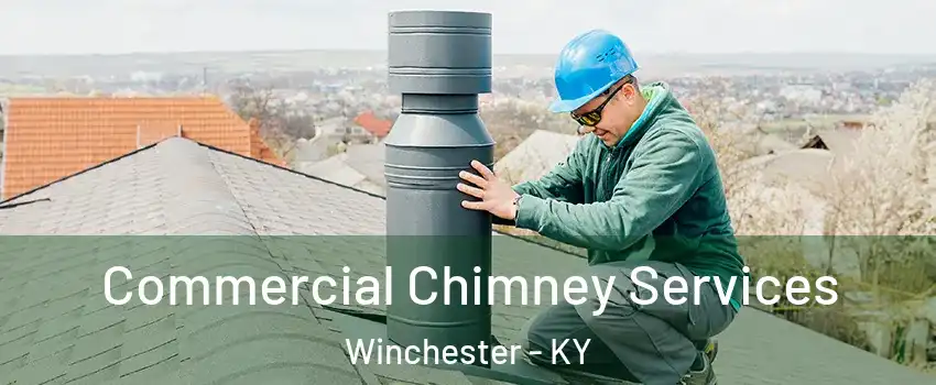  Commercial Chimney Services Winchester - KY