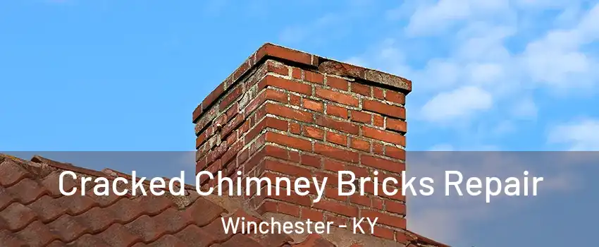  Cracked Chimney Bricks Repair Winchester - KY
