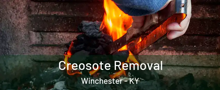  Creosote Removal Winchester - KY