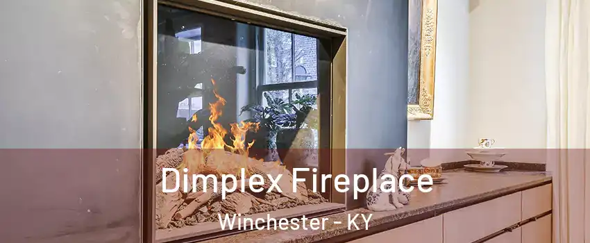  Dimplex Fireplace Winchester - KY