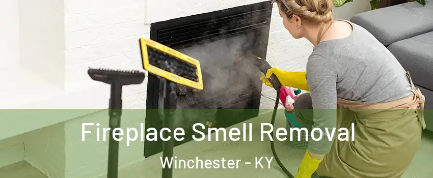  Fireplace Smell Removal Winchester - KY