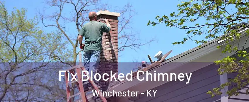  Fix Blocked Chimney Winchester - KY