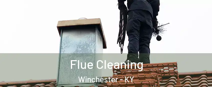  Flue Cleaning Winchester - KY