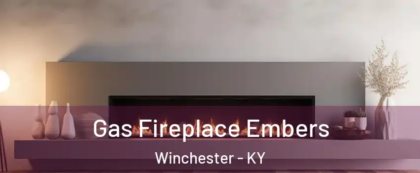  Gas Fireplace Embers Winchester - KY