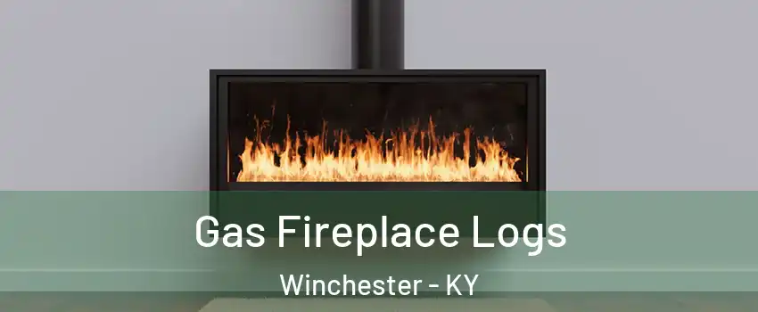  Gas Fireplace Logs Winchester - KY
