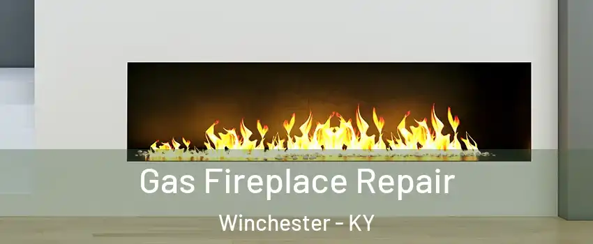  Gas Fireplace Repair Winchester - KY