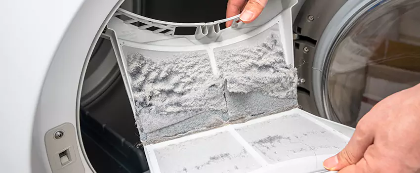 Best Dryer Lint Removal Company in Winchester, Kentucky