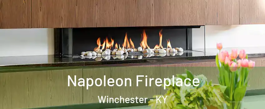  Napoleon Fireplace Winchester - KY