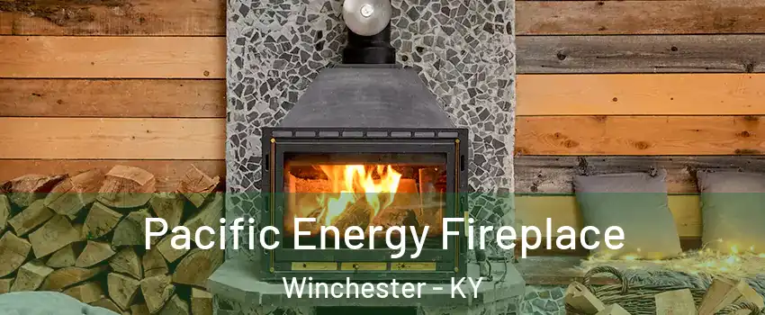  Pacific Energy Fireplace Winchester - KY