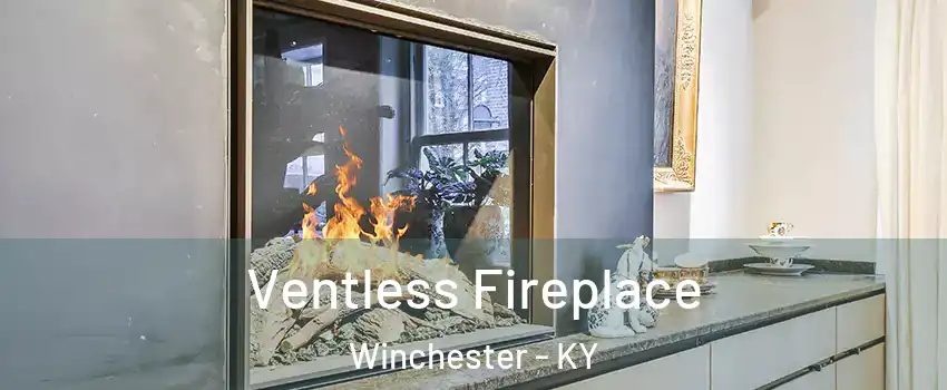  Ventless Fireplace Winchester - KY
